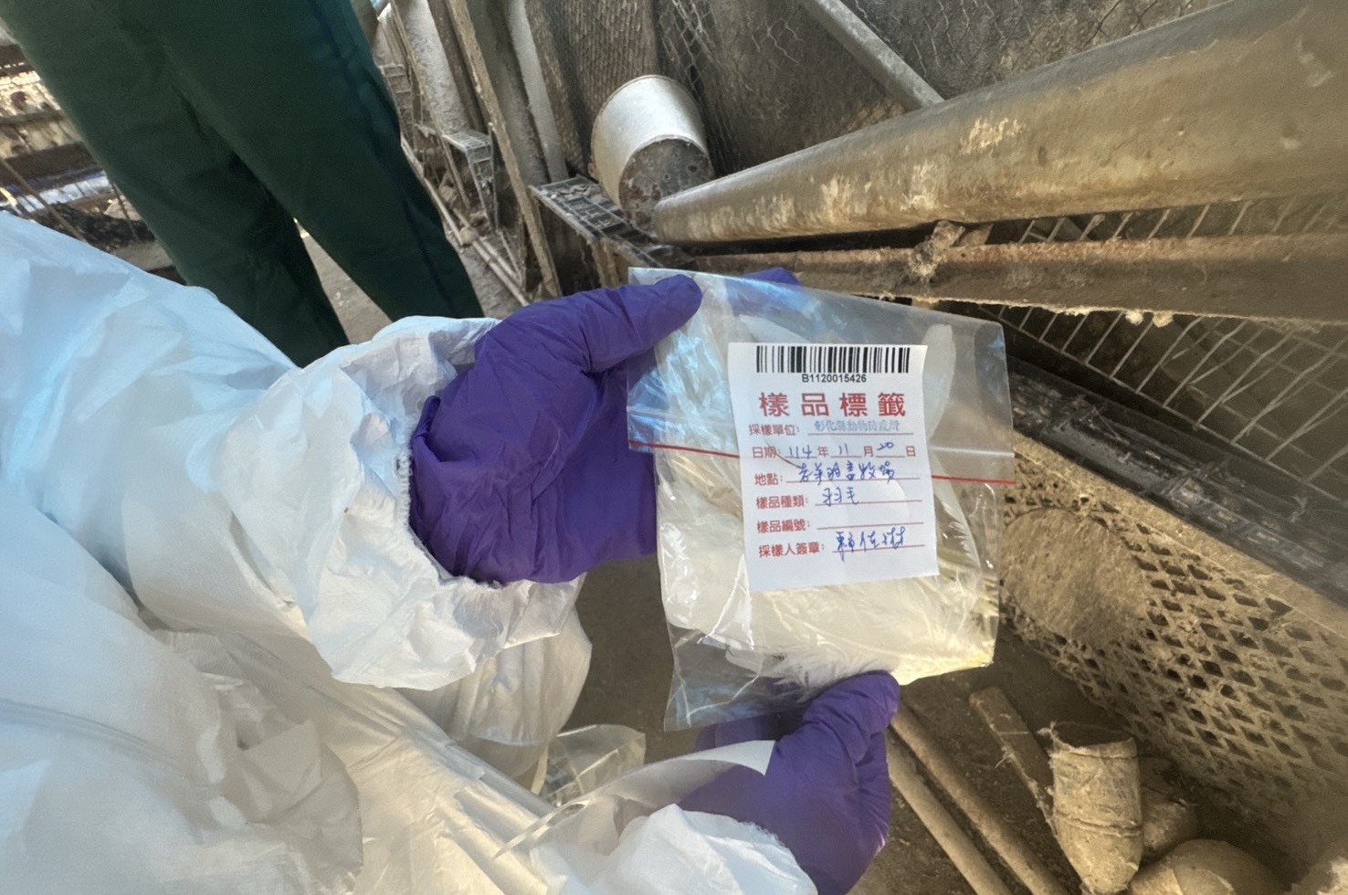 彰化啟動蛋雞場芬普尼監測 首波15場檢驗全數過關 - https://www.watchmedia01.com