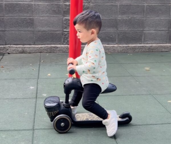 動物園在冬天不受高溫影響,適合安排長時間參觀,提升親子共同探索的體驗。圖/曾璟星