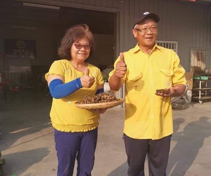 圖文：吳泰億以愛為起點　打造台灣印加果產業鏈 。