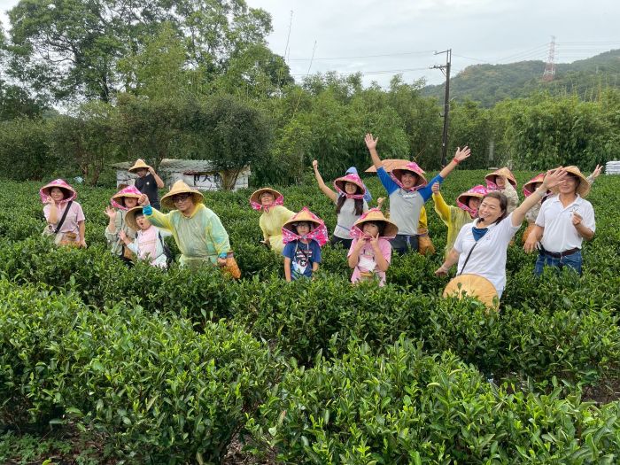 《圖說》新北市客家局打造山客尞尞品牌，串聯三峽客籍茶行，規劃走讀活動。〈客家局提供〉