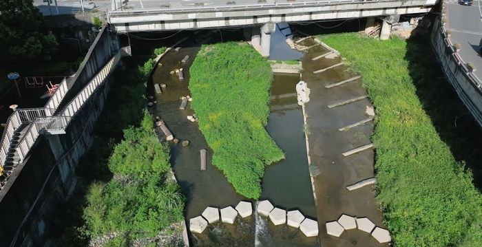 《圖說》大窠坑溪水環境營造工程具有多樣水域型態，提供自然棲地與生態跳島。〈水利局提供〉