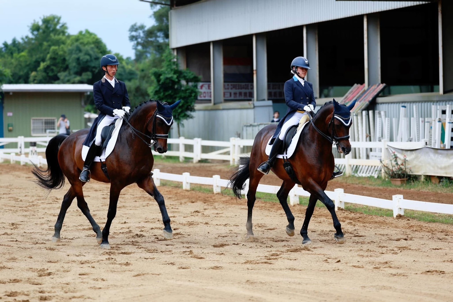 2024年引進「雙人馬術 Pair Dressage」項目。
