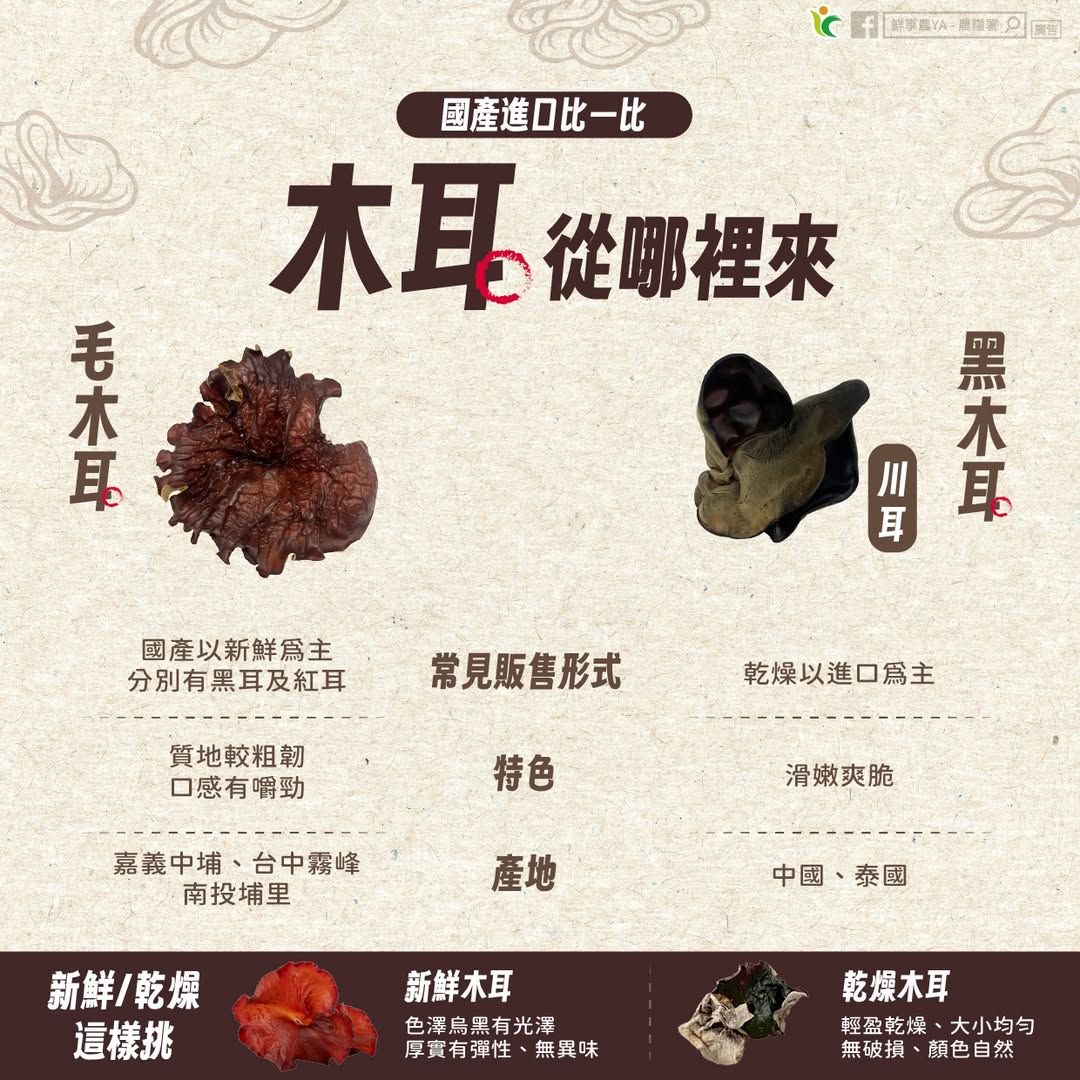 減脂健身必吃!農糧署曝黑木耳太空包栽種與營養關鍵 694735925 1291338523144775 3631755511977925332 n
